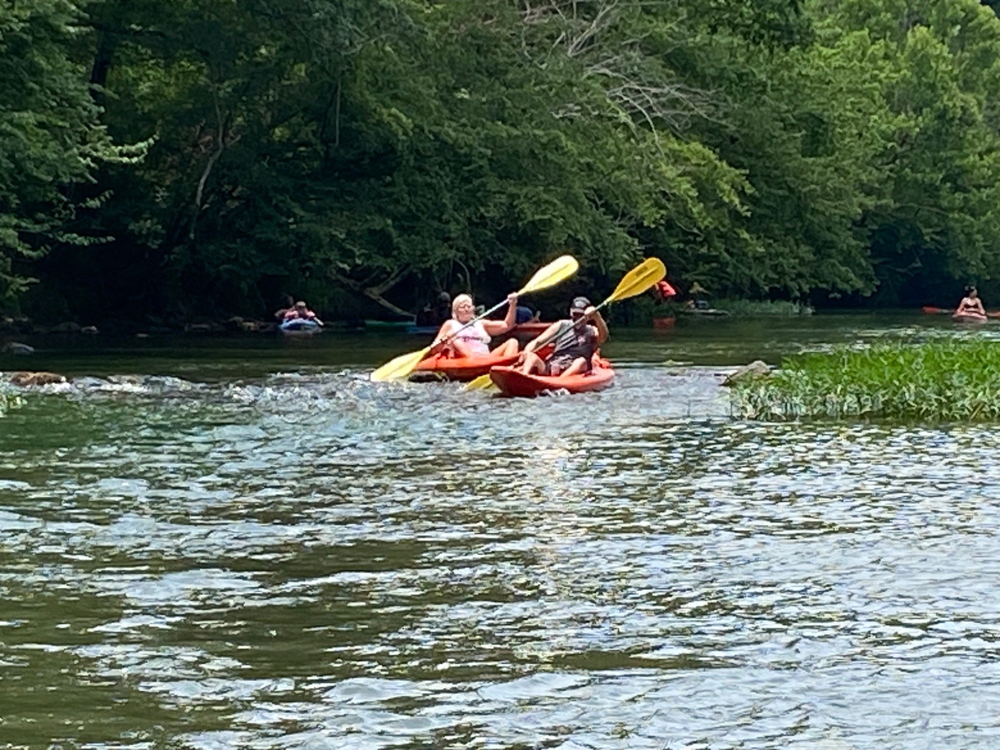 Kayaking on Terrapin Creek near Piedmont